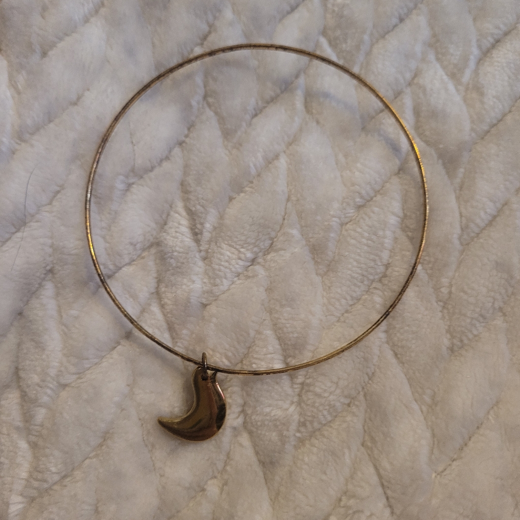Bird Bangle
